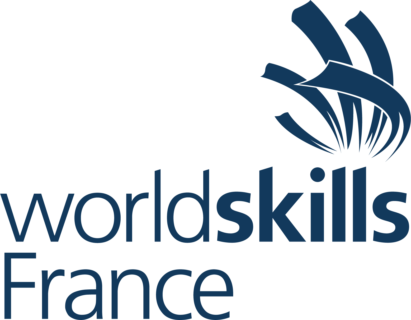 Logo Worldskills France